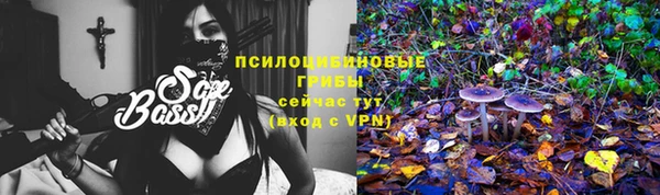 крисы Медногорск