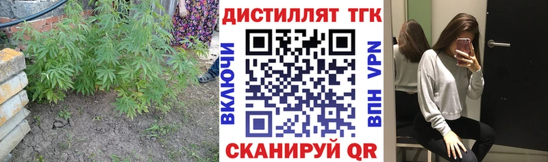 Дистиллят ТГК THC oil  закладка  Талица 