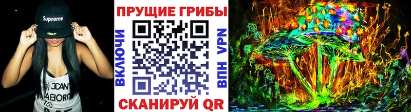 Галлюциногенные грибы прущие грибы  дарнет шоп  Талица 